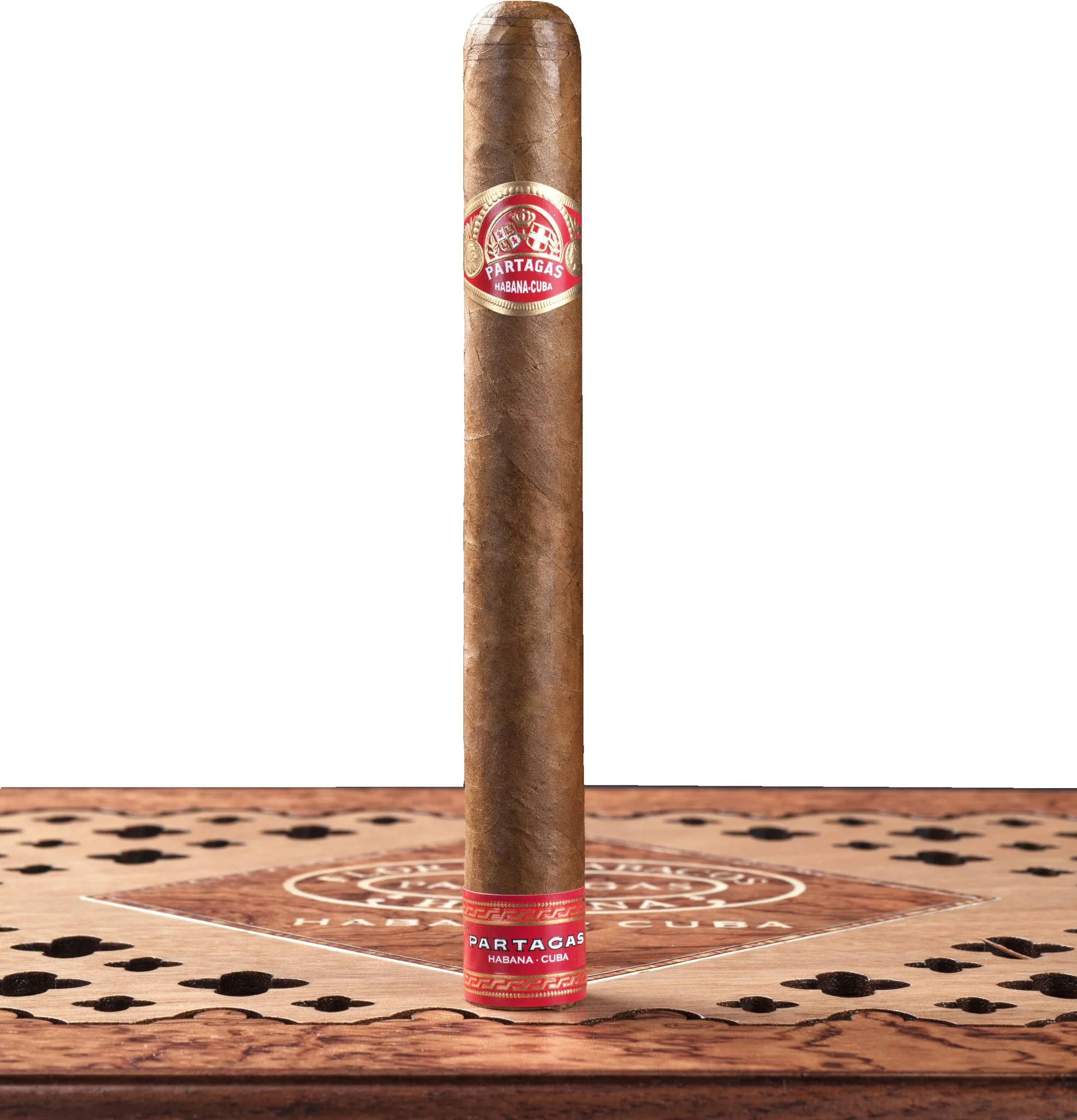 Partagas Tropicales 175 Aniversario Cigar Humidor - Image 3